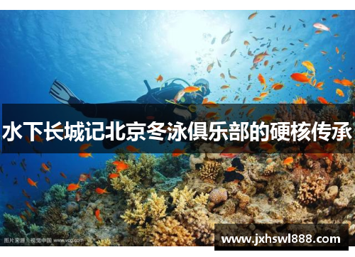 水下长城记北京冬泳俱乐部的硬核传承