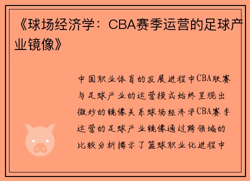《球场经济学：CBA赛季运营的足球产业镜像》