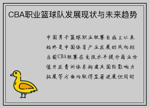 CBA职业篮球队发展现状与未来趋势